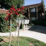 Cascade Apartments exterior walkway with pretty shrubs